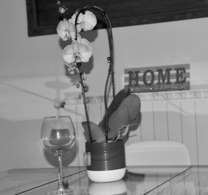 Brand New Apartment Floransa Dış mekan fotoğraf